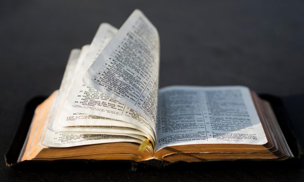 Cristo non ci invita, ma ci comanda di amarci gli uni gli altri – Commento al Vangelo di domenica 18 maggio (di don Renzo Gamerro)