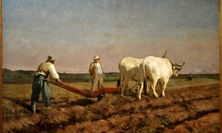 L’agricoltura piemontese rendeva troppo poco (di Fabrizio Dassano)
