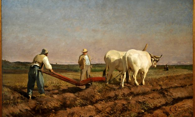 L’agricoltura piemontese rendeva troppo poco (di Fabrizio Dassano)