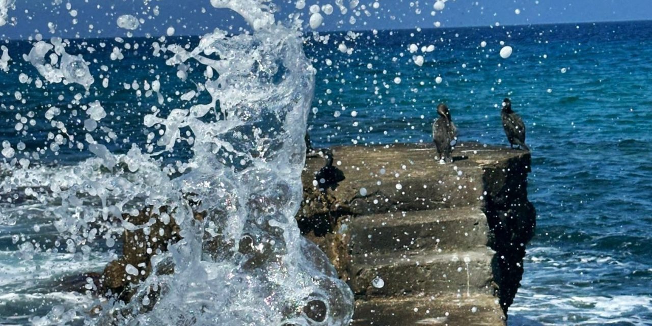 CONVERSAZIONI SOTTO L’OMBRELLONE – Riflessioni estive sulla Chiesa