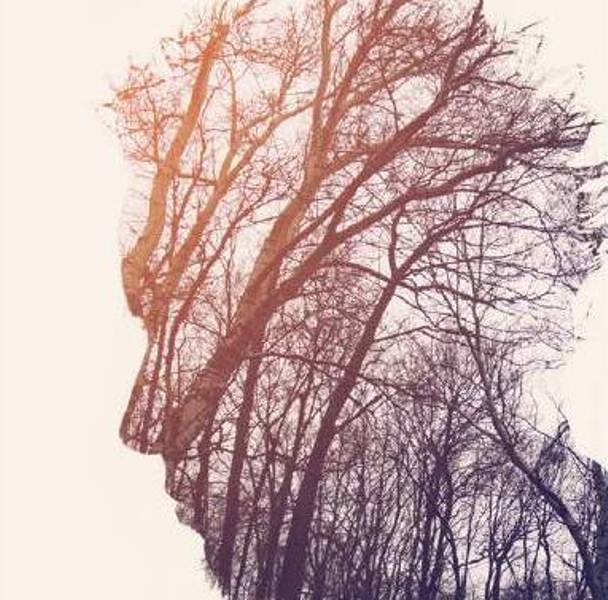 GRAN PARADISO DAL VIVO – Nove spettacoli per la nuova edizione del Festival di Teatro Natura
