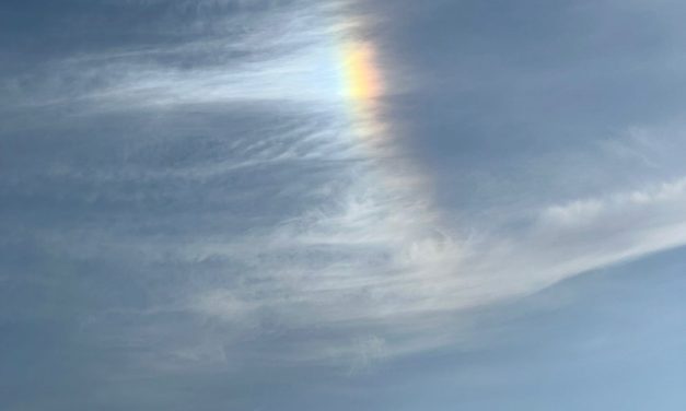 Saper sparire (anche tra un milione di sguardi) affinché rimanga Cristo