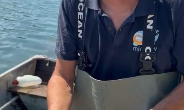 FIUME PO – Operazione di pulizia dai rifiuti – Recuperati anche pesci siluro, specie invasiva