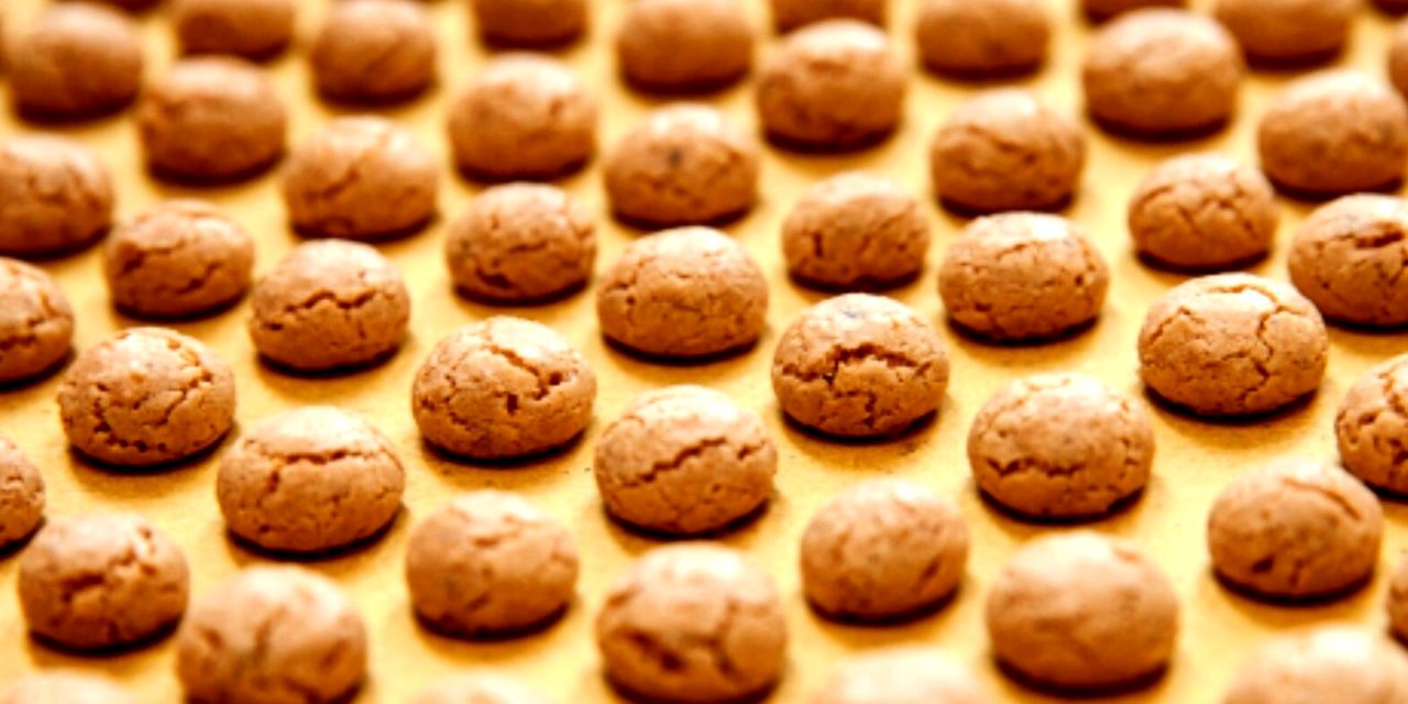 TORINO – Al Grattacielo Regione Piemonte la presentazione della 30° Festa dei nocciolini di Chivasso