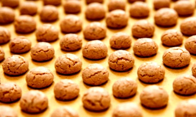 TORINO – Al Grattacielo Regione Piemonte la presentazione della 30° Festa dei nocciolini di Chivasso