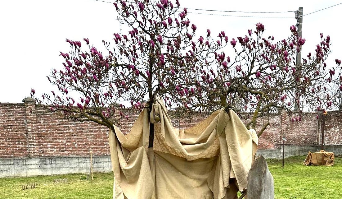 BORGO REVEL – La comunità consacra la giornata a Dio con la preghiera mattutina nell’Orto biblico