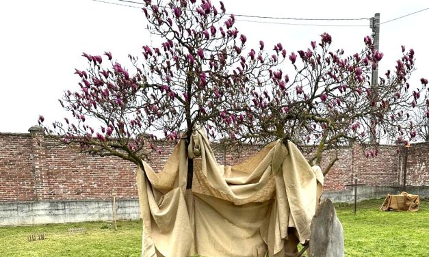 BORGO REVEL – La comunità consacra la giornata a Dio con la preghiera mattutina nell’Orto biblico