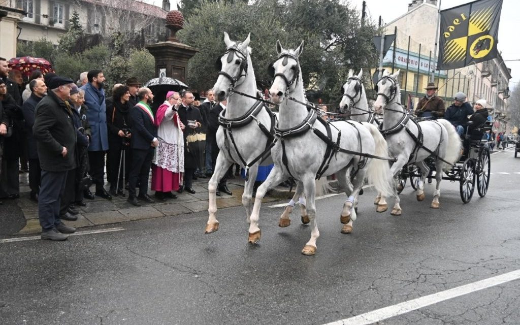 Benedizione degli animali
