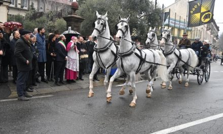 Benedizione degli animali
