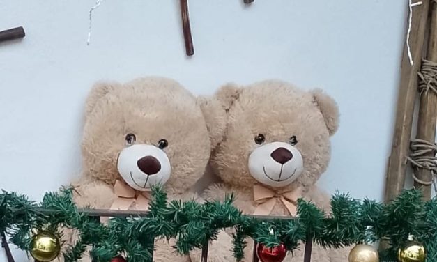 A Ingria grande attesa per la riapertura del Pont Viei con i vincitori della caccia agli orsi