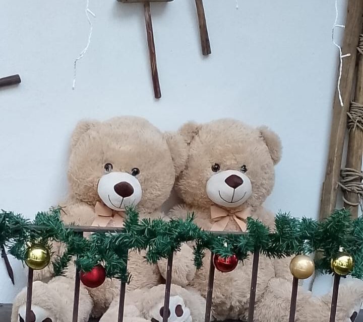 A Ingria grande attesa per la riapertura del Pont Viei con i vincitori della caccia agli orsi