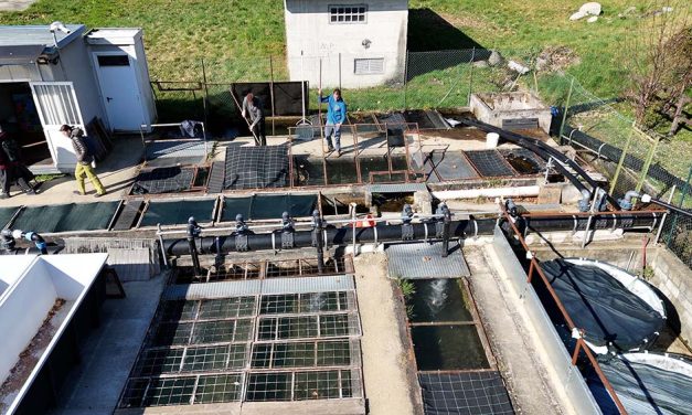 Al via la stagione della pesca: ecco le regole