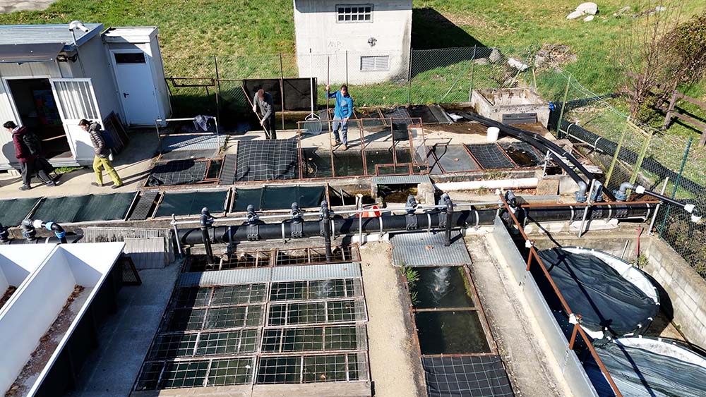 Al via la stagione della pesca: ecco le regole