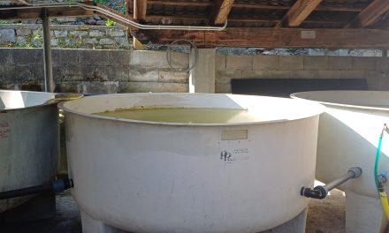 Nuova vita per l’incubatoio ittico di Quincinetto