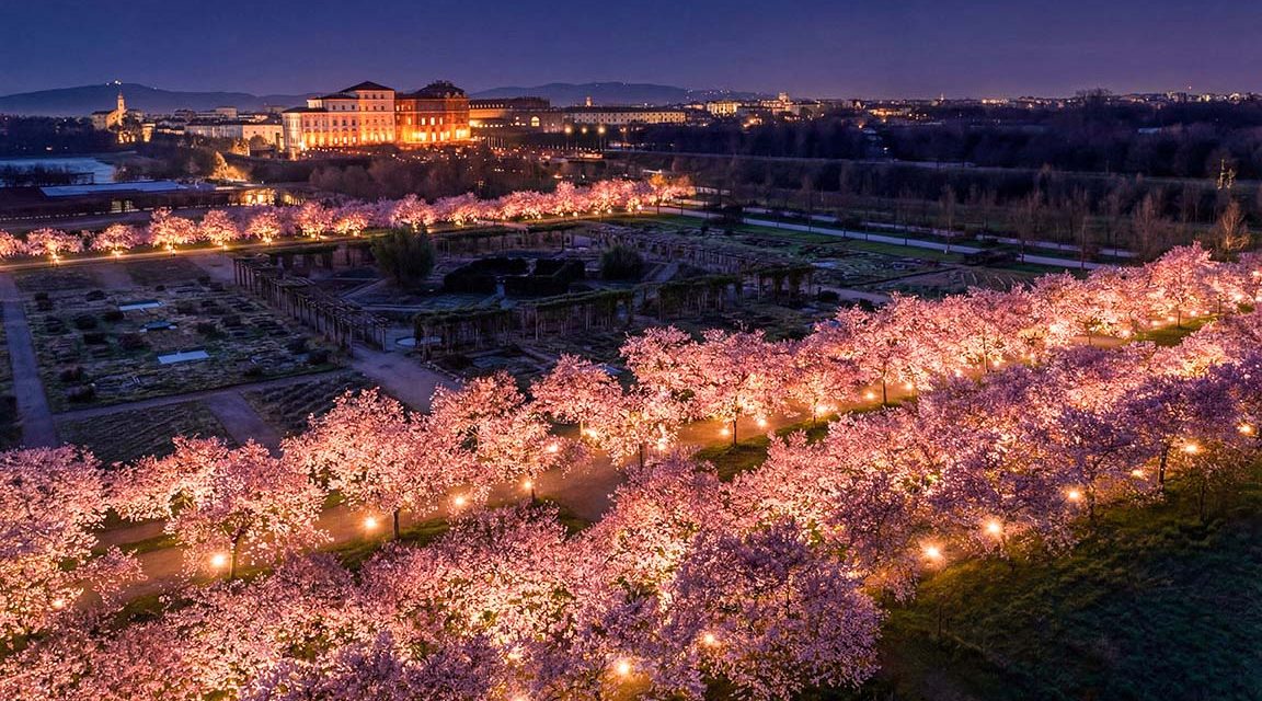 All’ombra dei ciliegi in fiore