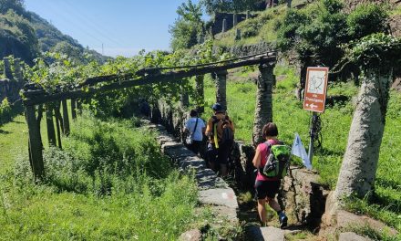 Turismo accessibile tra Italia e Svizzera: i progetti IN3ViE e HIKE4ALL si incontrano a Ivrea e Bollengo