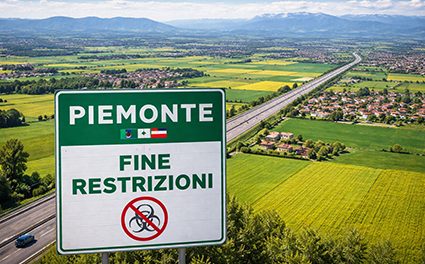 Peste suina, le province di Novara e Vercelli in zona indenne