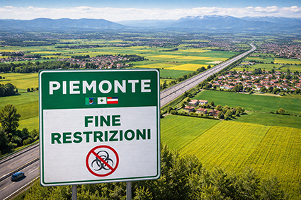 Peste suina, le province di Novara e Vercelli in zona indenne