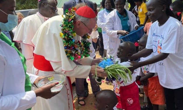 Oltre il consenso: il viaggio in Africa rivela la missione gentile e tenace di Papa Leone (di Lorenzo Iorfino)