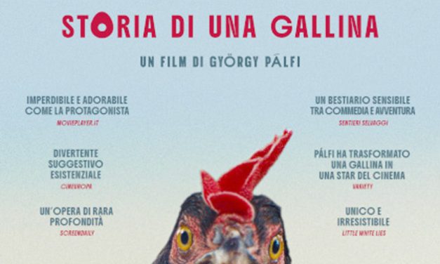 Hen – Storia di una gallina (di Graziella Cortese)